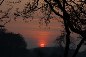 Phoenix Park Dublin - Photo Brian Farrell - Tuttiwebs